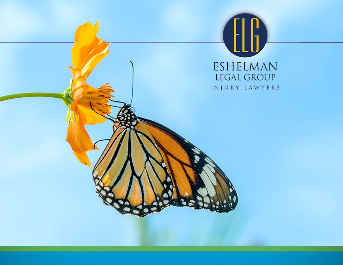 Monarch Butterfly | Personal Injury Lawyers Ohio
