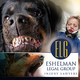 The Eshelman Legal Group dog bite photo